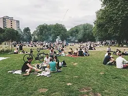 Friends stretched out on the grass