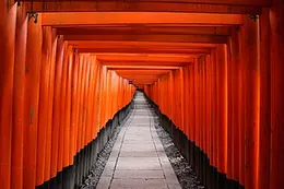 The vermilion torii gates at Fushimi Inari