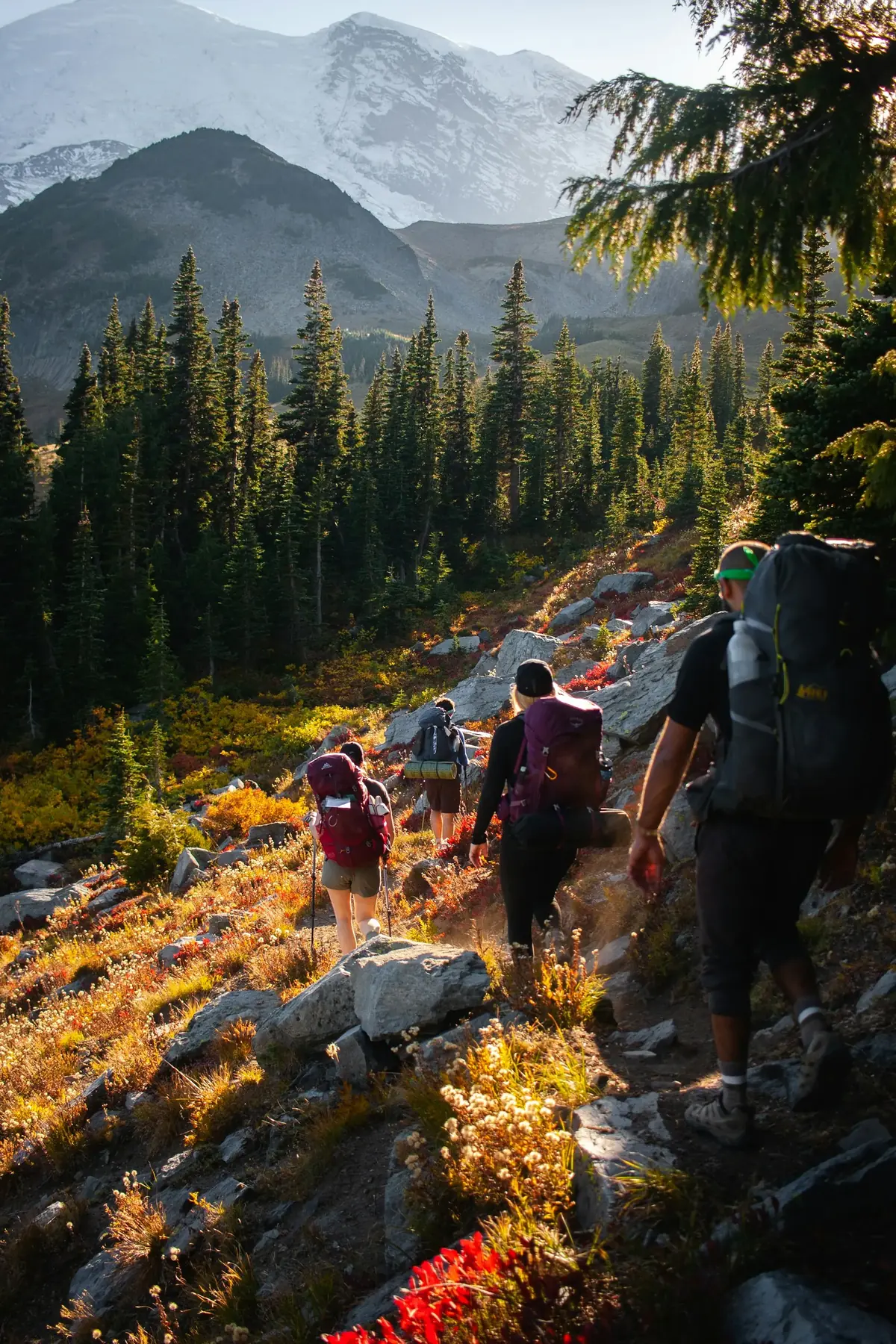 Family hiking a mountain trail together at sunset