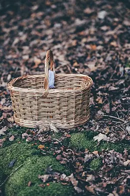 Blankets and baskets spread out under the trees