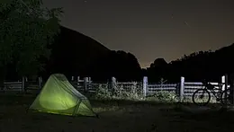 The camp set up among the trees