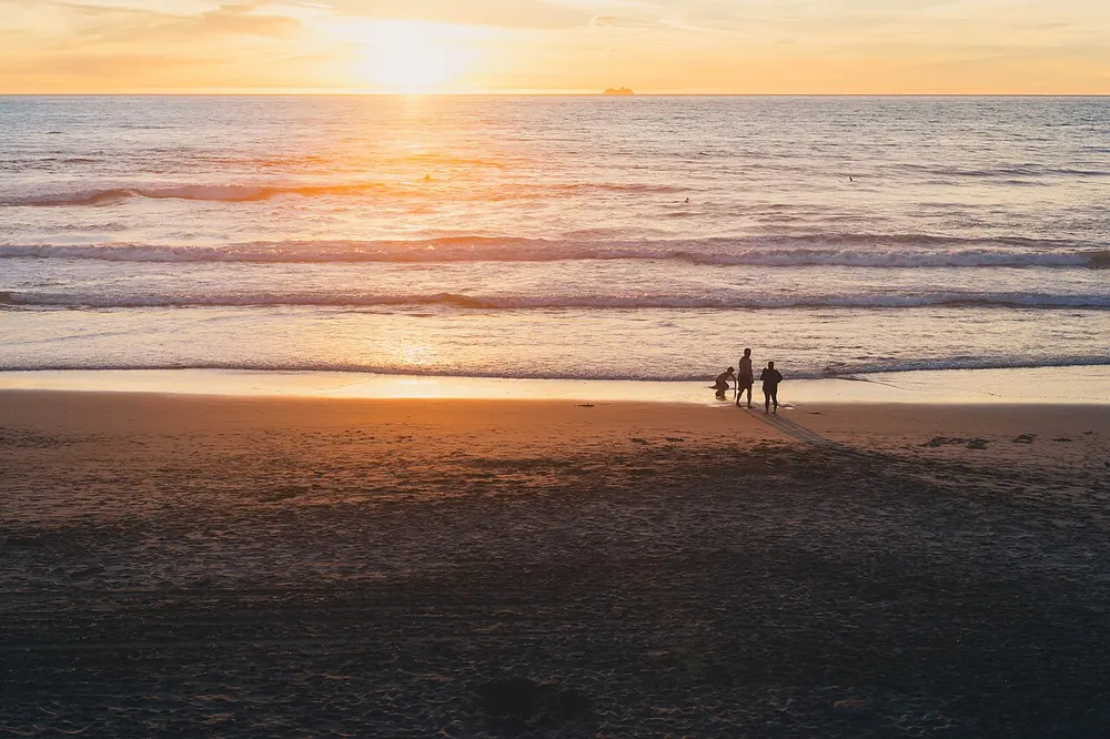 Family spending time at the beach